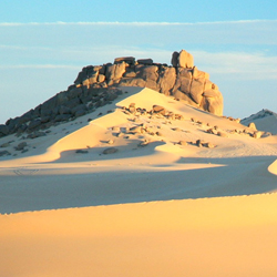 Desert Safari Tours